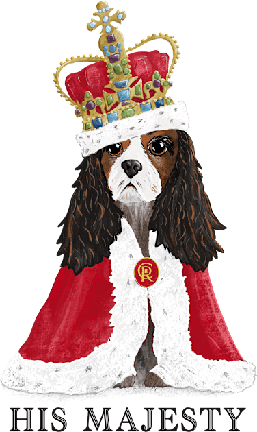 His Majesty King Charles Fun Coronation Souvenir  Pink Kids T-Shirt by NattyDesigns