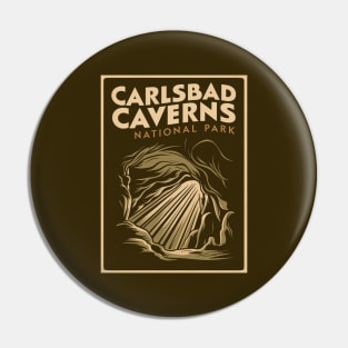 Vintage Retro Carlsbad Caverns National Park Pin