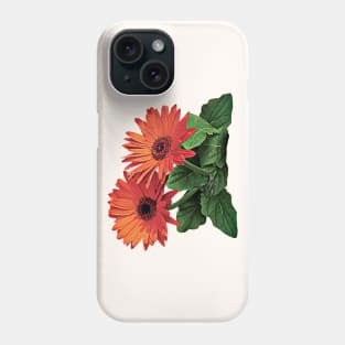 Two Orange Gerbera Daisies Phone Case