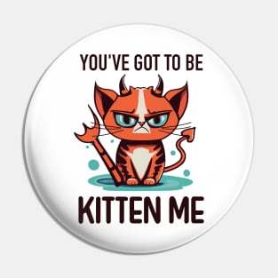 You’ve Got to Be Kitten Me Pin