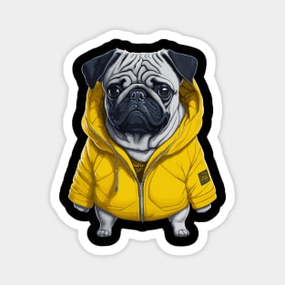 Funny Pug Dog Wearing a Yellow Jacket Magnet