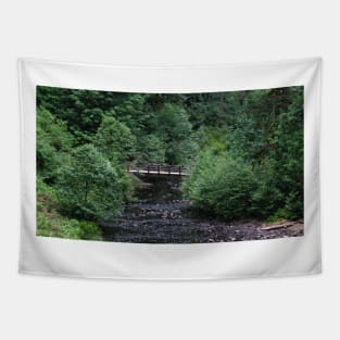 Silver Falls State Park Oregon Tapestry