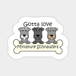 Gotta Love Miniature Schnauzers Magnet