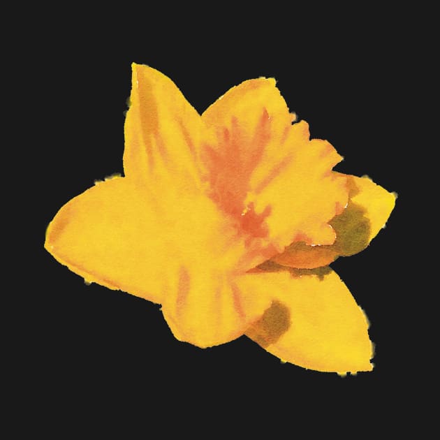 Yellow Daffodil Flower Tilted by Griffelkinn