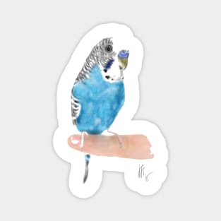 Pretty Blue Parakeet Budgie Magnet