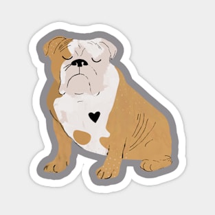 Bulldog Magnet