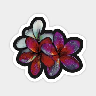 Frangipani raindrops Magnet