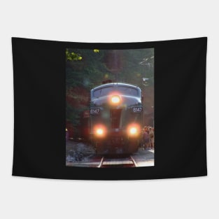 Here comes the Train Tapestry