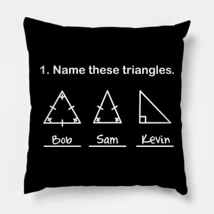 Name These Triangles Funny Math Geometry Question Pillow