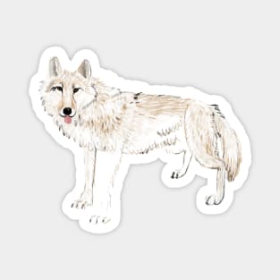Hudson Bay White Wolf Magnet