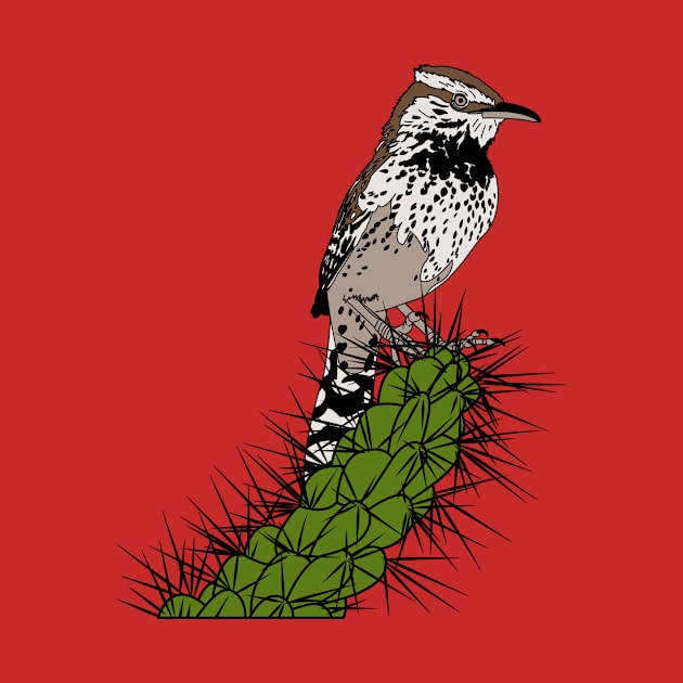 Cactus wren 2 by ProcyonidaeCreative