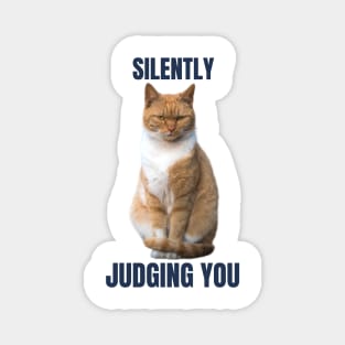 Orange Cat is Silently Judging You Magnet