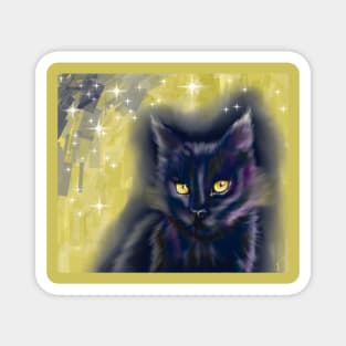 black cat night Magnet