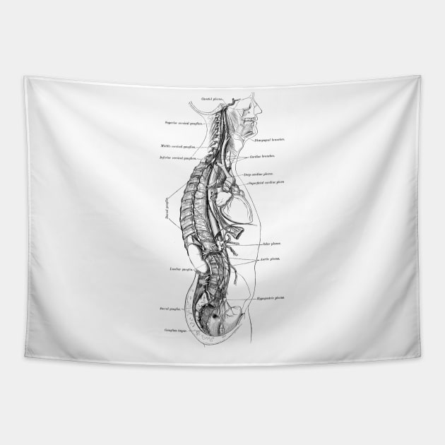 Human Body - Section Tapestry by be yourself. design