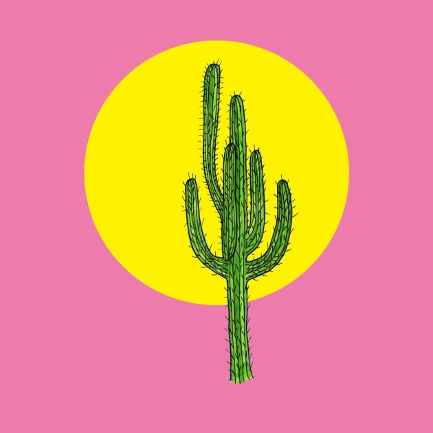 summer cactus by melikeozmen