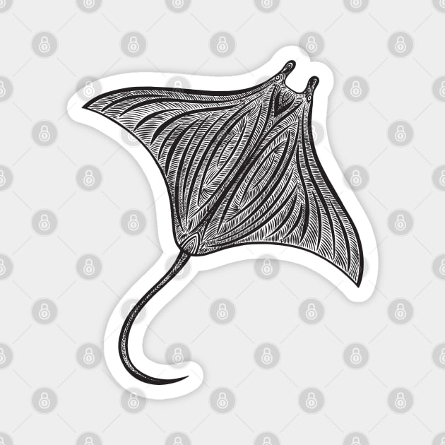 Manta Ray Ink Art - light colors Magnet by Green Paladin