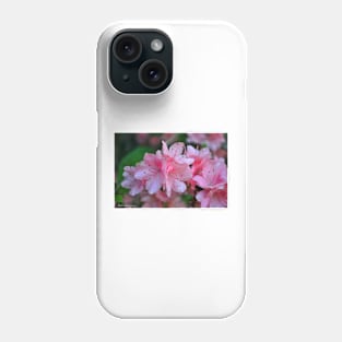 Spring is Here Phone Case