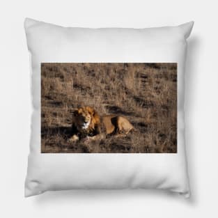 Raspberry Lion Pillow