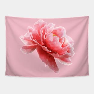 Pink flower of peony Tapestry