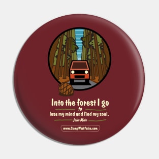 Campervan in Redwood Forest, dark Pin