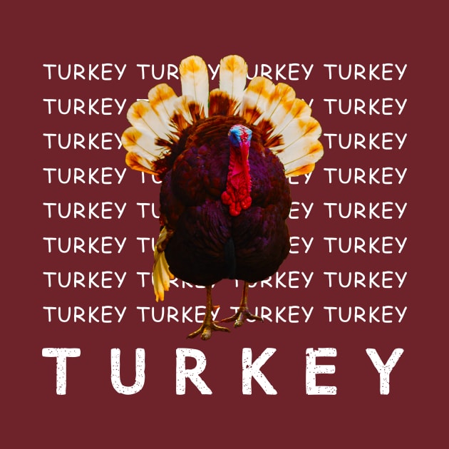 wkrp turkey drop shirt by TATOH