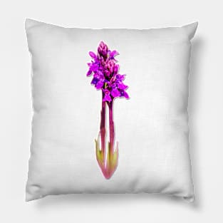 Pink Orchids Pillow