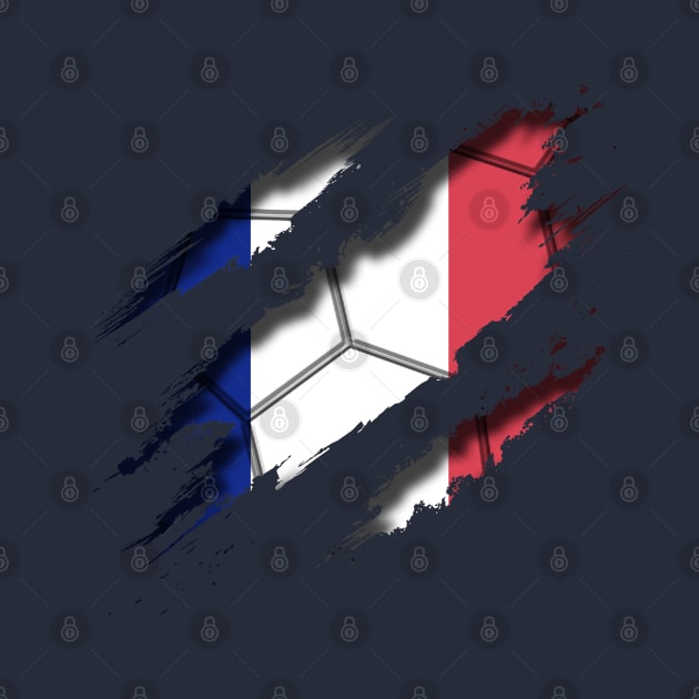 France Football by blackcheetah