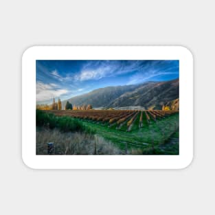 Majestic Views of New Zealand Vineyards Magnet