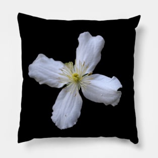 flower Pillow