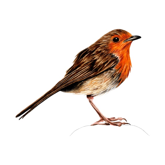 European robin ink and watercolour by lorendowding