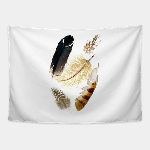 Brown feathers Tapestry by TheBlackCatprints