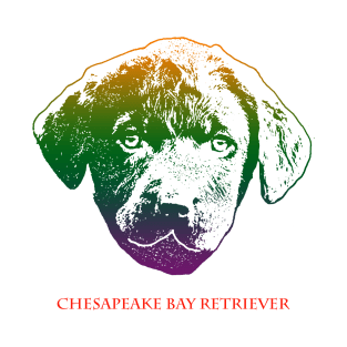 The chesapeake bay retriever head is Violet, Green, Orange T-Shirt