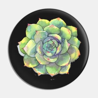 Watercolor green Succulent Pin