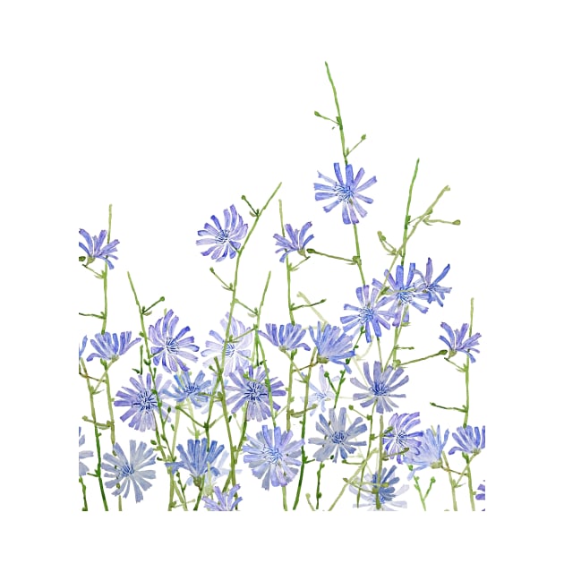 blue purple chicory  2020 by colorandcolor