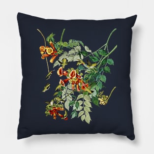 Audubons Ruby-throated Humming Bird Pillow