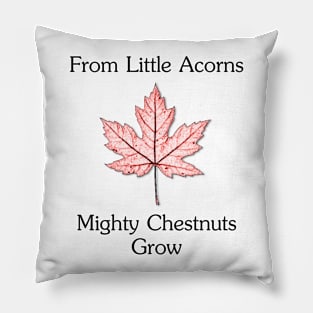 From Little Acorns Three Pillow