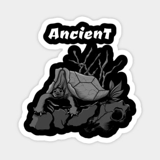 ANCIENT ( BW ) Magnet