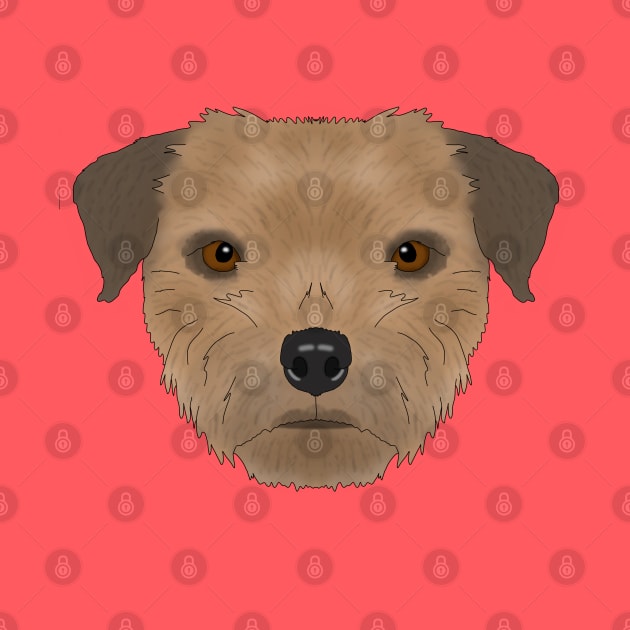 Border Terrier by childofthecorn