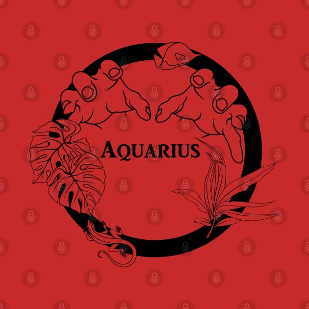 AQUARIUS ASTROLOGY HOROSCOPE Zodiac Signs Aqua Water by BeautyMoment