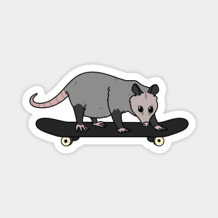 rad opossum Magnet