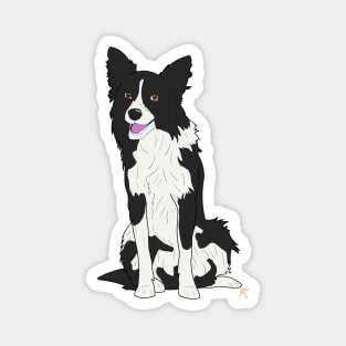 Border Collie Magnet