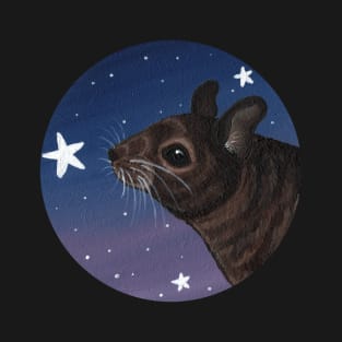 Degu Looking at the Stars T-Shirt