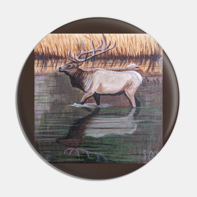 Bull Elk Reflections Pin by Matt Starr Fine Art