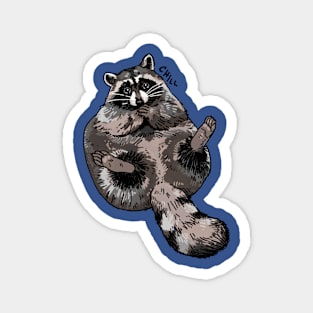 Chill Raccoon Magnet