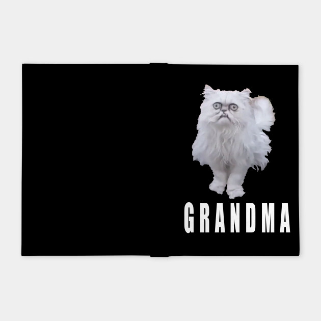 This Stray Cat Looks Like Grandma Meme Cat Notebook Teepublic