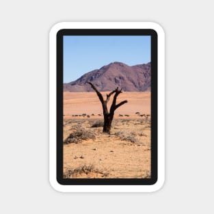 One tree in the desert. Magnet