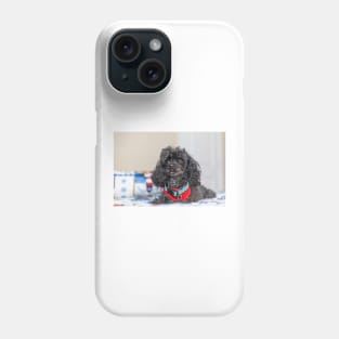 Lap Dog Phone Case