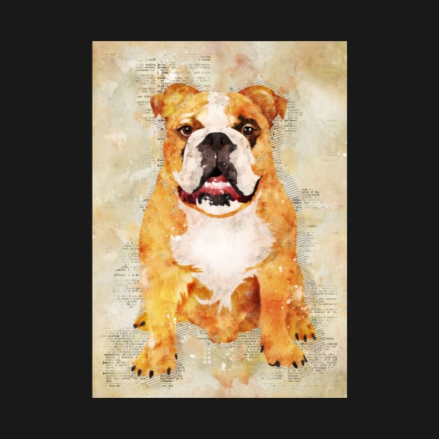 Boxer Dog by Durro