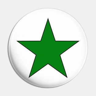 Esperanto Pin