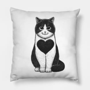 Cat with heart Pillow